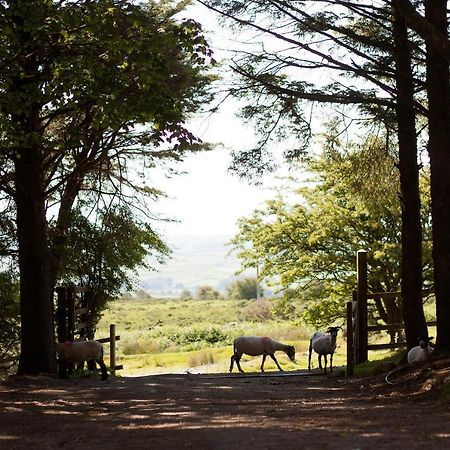 Wheal Tor Hotel & Glamping Лискерд Экстерьер фото